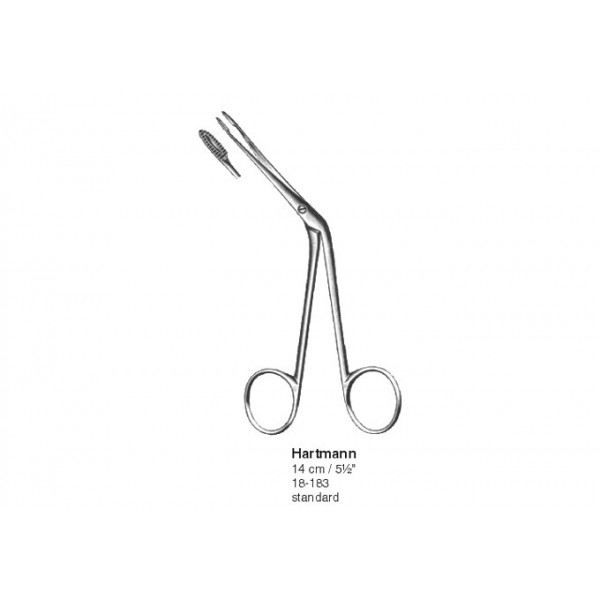 Otology